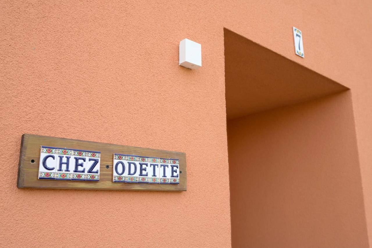 Chez Odette - Spa, Plancha, Parking Albi Eksteriør billede